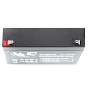 Batteria BE 12002,8L