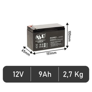 Batteria BE 12009 CY