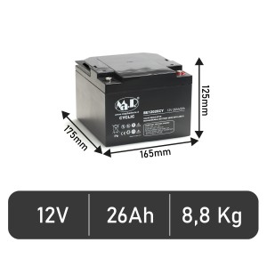 Batteria BE 12026 CY