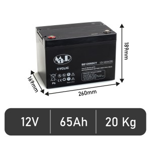 Batteria BE 12060 CY