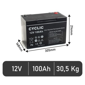Batteria BE 12100 CY
