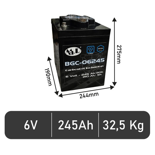 Batteria BGC 06-245