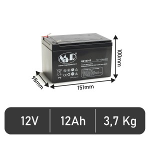 Batteria BE 12012