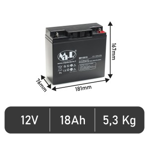 Batteria BE 12018