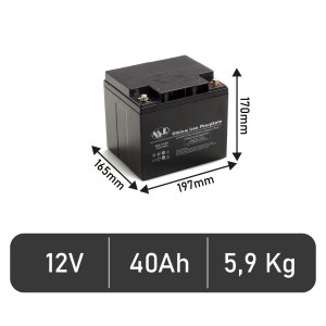 BLP 12-40