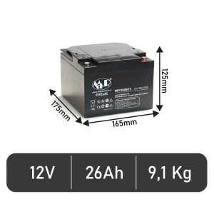 Batteria BE 12026 CY